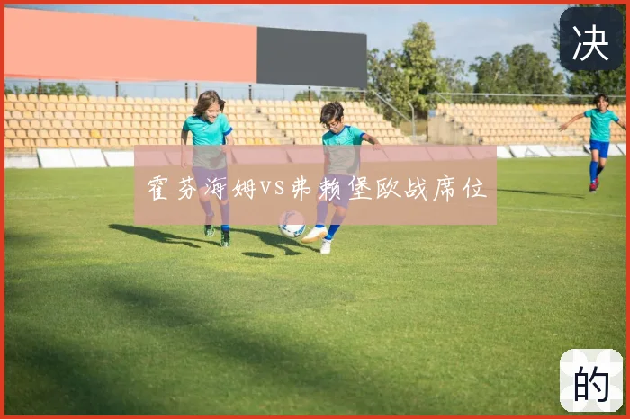 霍芬海姆vs弗赖堡欧战席位